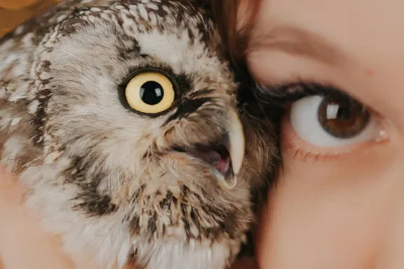 カジノ オールスター スロッツ サポート